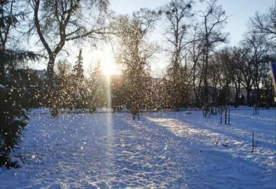 Зима еще удивит украинцев: народный синоптик дал неожиданный прогноз, "110 дней снега