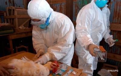 В Японии выявили десятый очаг птичьего гриппа
