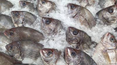 Взлет цен на рыбном рынке России объяснили успехом экспорта