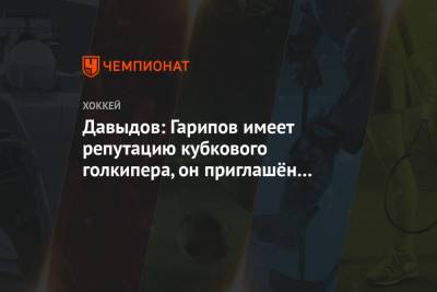 Давыдов: Гарипов имеет репутацию кубкового голкипера, он приглашён в «Динамо» под плей-офф