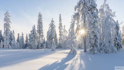 Сибирские морозы придут в два региона России на следующей неделе