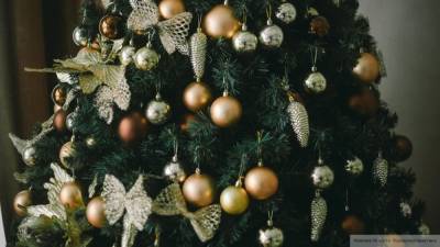 Украинцы увидели в новом украшении киевской елки дискредитацию Рождества