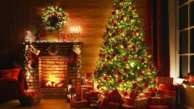 Куда поставить новогоднюю елку для привлечения успеха? — мнение астролога