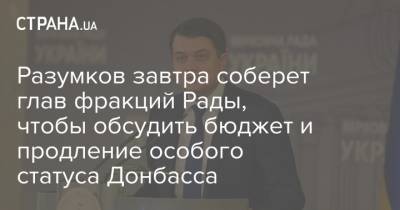 Разумков завтра соберет глав фракций Рады, чтобы обсудить бюджет и продление особого статуса Донбасса