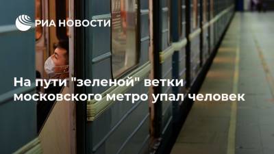 На пути "зеленой" ветки московского метро упал человек
