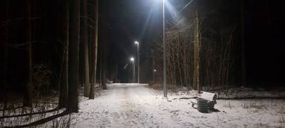 В Соломенском парке Петрозаводска подключили освещение