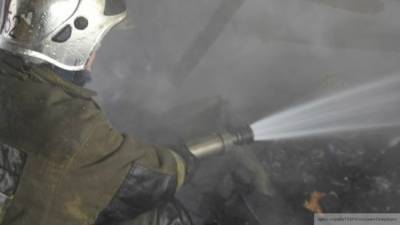 Сварочные работы могли привести к пожару на судне "Вега" в Мурманске