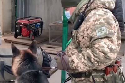 На КПВВ «Станица Луганская» силовики нашли у пешехода пистолет с патронами