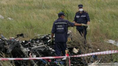 Американский аналитик озвучил возможную версию крушения MH17 в Донбассе