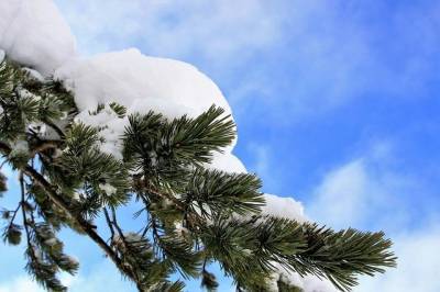 В Рязанской области ожидается снег