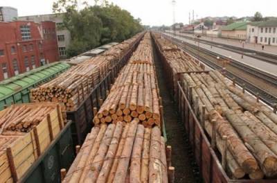 Украину заставили экспортировать лес-кругляк: подробности суда евросоюза против Киева