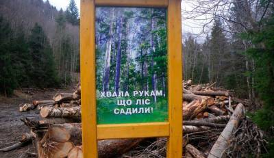 Еврокомиссия признала незаконным запрет на вырубку украинских лесов для поставок в ЕС
