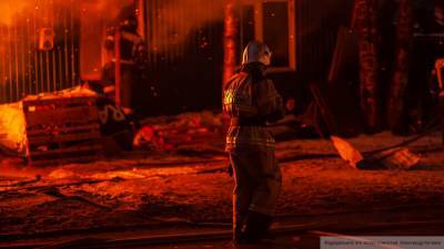 Пожар уничтожил микроавтобус во дворе жилого дома в ЕАО