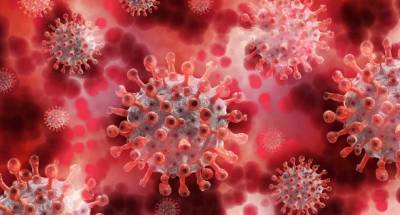 Эксперт Ирина Булыгина назвала реальный срок иммунитета к коронавирусу после вакцинации - actualnews.org