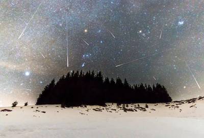 Ночью 14 декабря жители Ленобласти смогут наблюдать звездопад
