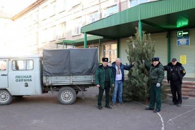 Липецкие лесники подарили новогодние ёлки школе-интернату