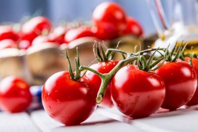 Япония одобрила продажу первых в стране генномодифицированных овощей: начали с помидоров