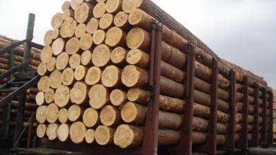Украина имеет право ограничивать экспорт леса, — арбитраж