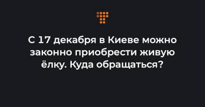 С 17 декабря в Киеве можно законно приобрести живую ёлку. Куда обращаться?