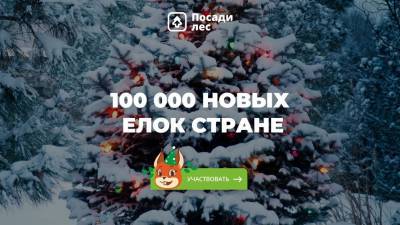 Ульяновцам предлагают подарить 100 тысяч ёлок стране в Новый год