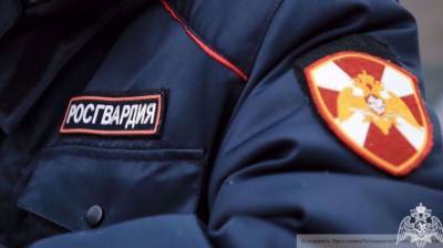 Пьяные хулиганы избили росгвардейца у алкомаркета в Челябинской области