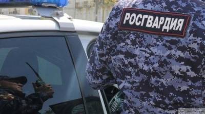 Четверых жителей Челябинской области задержали за нападение на росгвардейца