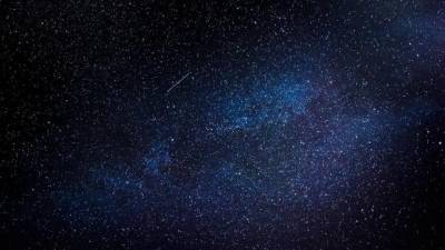 В ночь на 14 декабря жители Ленобласти смогут наблюдать звездопад