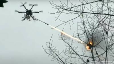 Китайцы уничтожили гнездо ос при помощи летающего огнемета