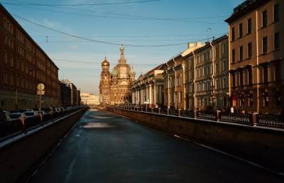 В Санкт-Петербурге удалось затормозить рост числа заражений COVID-19