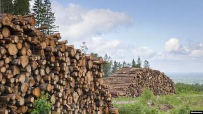 Еврокомиссия заявила о победе над Украиной в арбитраже по экспорту леса-кругляка в ЕС