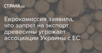 Еврокомиссия заявила, что запрет на экспорт древесины угрожает ассоциации Украины с ЕС