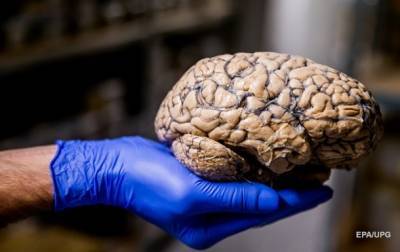 Коронавирус может напрямую поражать нейроны мозга