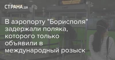 В аэропорту "Борисполя" задержали поляка, которого только объявили в международный розыск