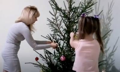 Новый год к нам мчится: украинцам дали 5 советов, как правильно выбрать елку