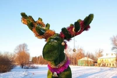 Животных в Оленинском районе украсили к Новому году