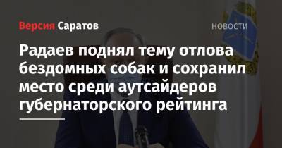 Радаев поднял тему отлова бездомных собак и сохранил место среди аутсайдеров губернаторского рейтинга