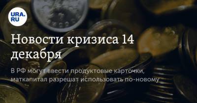 Новости кризиса 14 декабря. В РФ могут ввести продуктовые карточки, маткапитал разрешат использовать по-новому