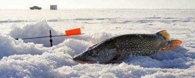 Сотрудники МЧС напомнили рязанским рыбакам о правилах поведения на льду