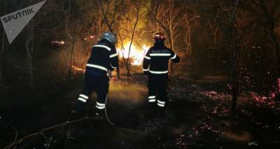 В Грузии за первые три квартала было зафиксировано более 11 тысяч пожаров