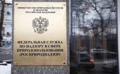 Риск раздувания штата Росприроднадзора в 21 раз увидела «Деловая Россия»