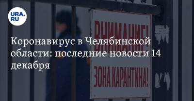 Коронавирус в Челябинской области: последние новости 14 декабря. Заразились сотни строителей ковидного госпиталя, медик стал звездой TikTok