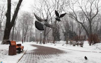 Мокрый снег с дождем и похолодание: прогноз погоды в Украине