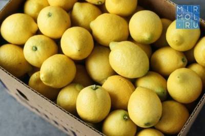 Дагестанские аграрии начнут экспорт лимонов, бананов и мороженного мяса