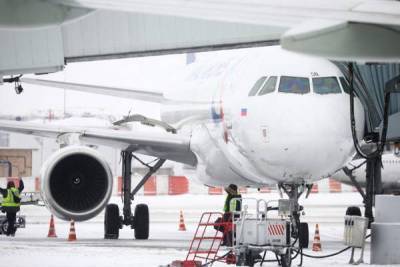 Росавиация представит в 2021 году дополнительные меры поддержки авиакомпаний nbsp