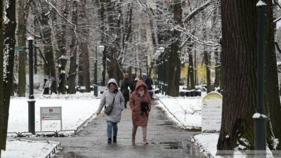 Облачная погода с небольшим снегом ожидается в Петербурге