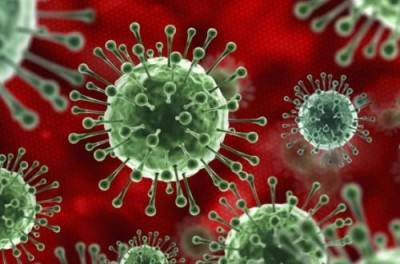 Пандемия: На COVID-19 заболели более 72 млн человек
