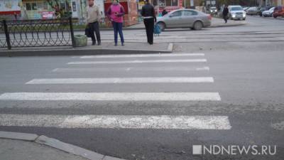 ГИБДД Кургана выступила с обращением из-за роста ДТП с пешеходами
