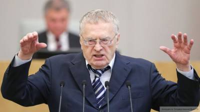 Жириновский предупредил о провокациях спецслужб Украины в адрес России