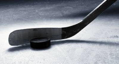 Бобровские хоккеисты взяли реванш у череповецких «металлургов»