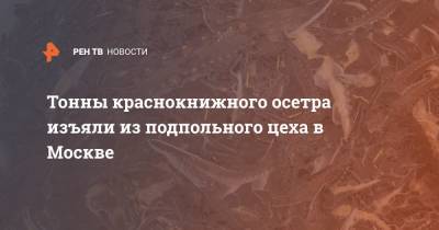 Тонны краснокнижного осетра изъяли из подпольного цеха в Москве